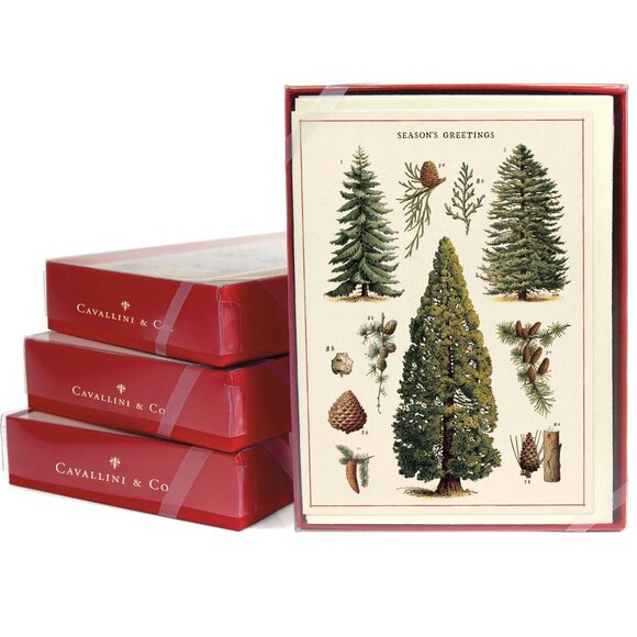 Cavallini & Co. Snowman Christmas Boxed Notecards - Picture 1 of 4
